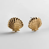 Marina Gold Seashell Earrings - Gold