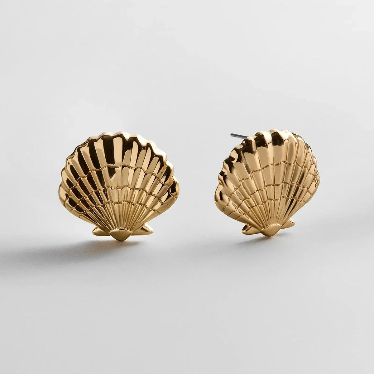 Marina Gold Seashell Earrings - Gold