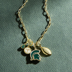 Michigan State University Cluster Charm - Michigan State University