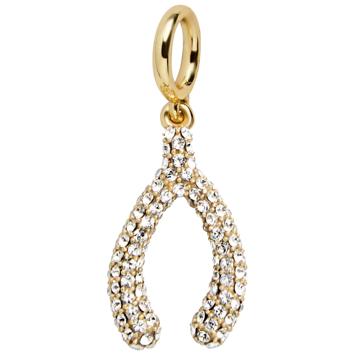 Luck Cluster Charm - Wishbone